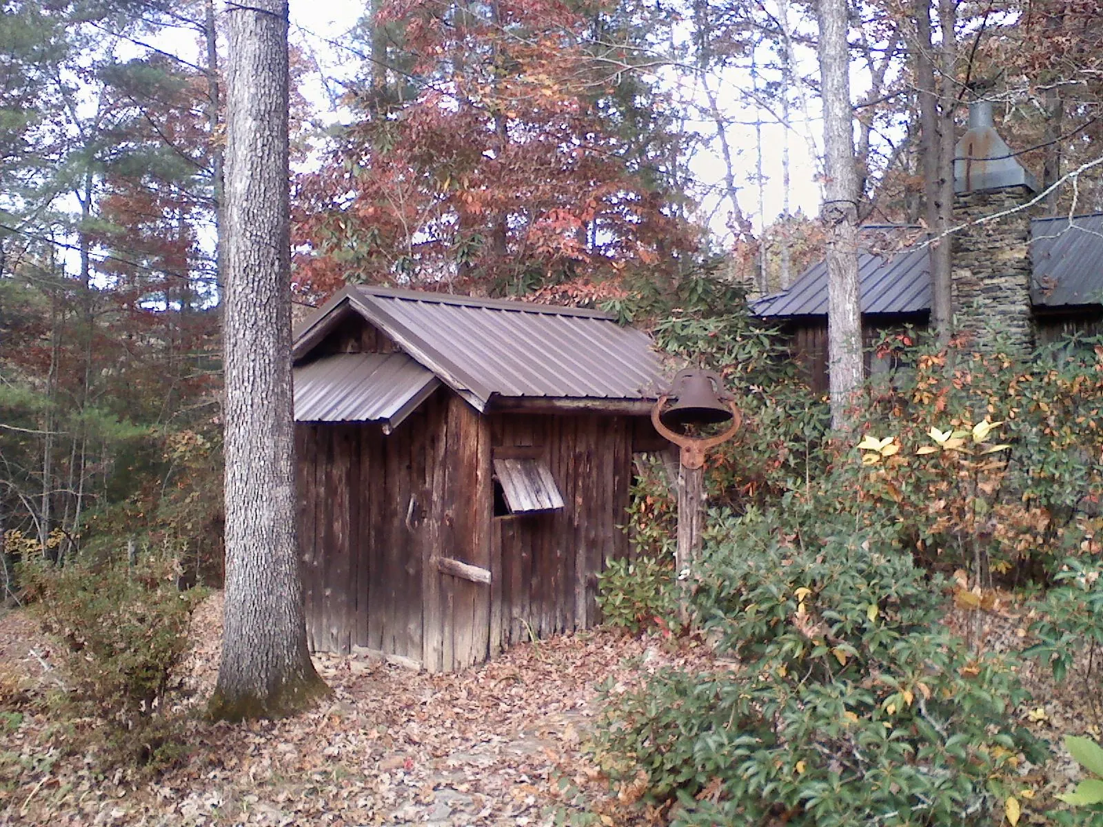 Small metal roof on a rough sawn shed in the woods in Eatonville