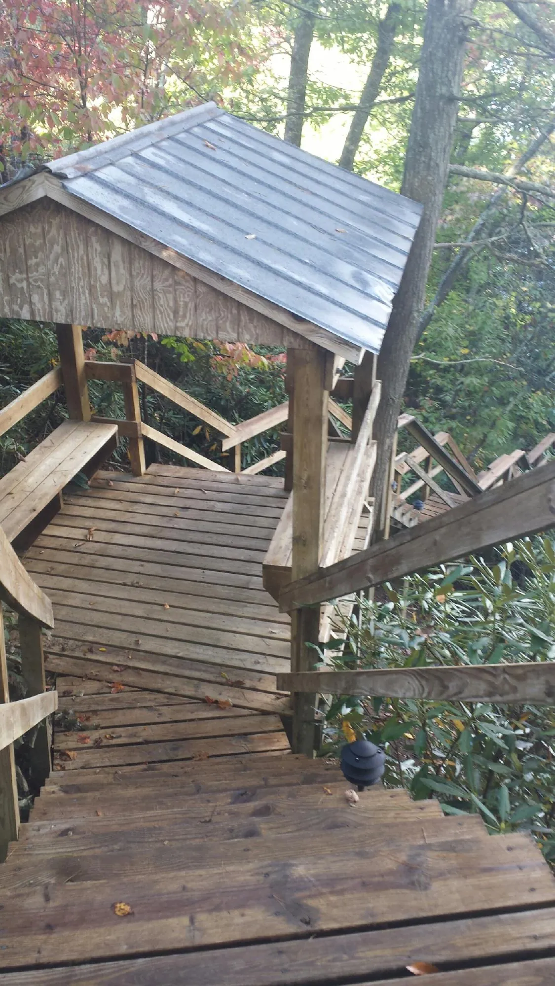 Metal roofed shelter over wooden steps on a wooded walkway — Skylight Repair & Installation work by our crew in Eatonville