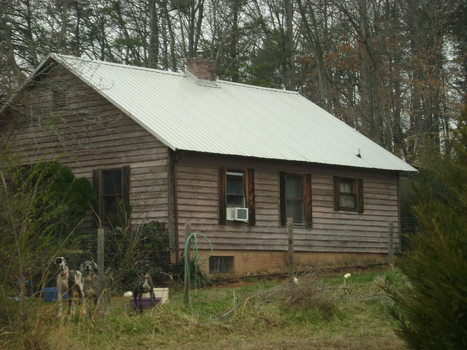 White metal roof on an old wood sided farmhouse, from a Metal Roof Installation job in Eatonville